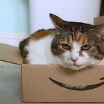 amazon-cat.jpg