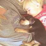 toddler-sleeping-with-dog-1.jpg