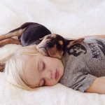 toddler-sleeping-with-dog-13.jpg