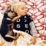 toddler-sleeping-with-dog-14.jpg