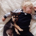 toddler-sleeping-with-dog-15.jpg