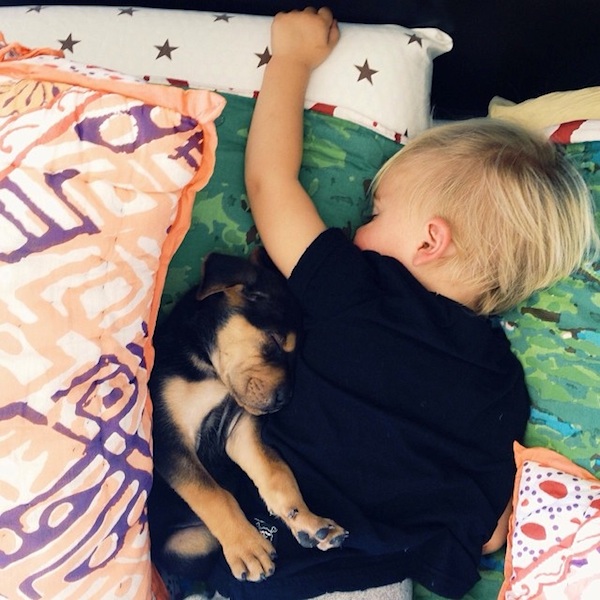 toddler-sleeping-with-dog-3.jpg