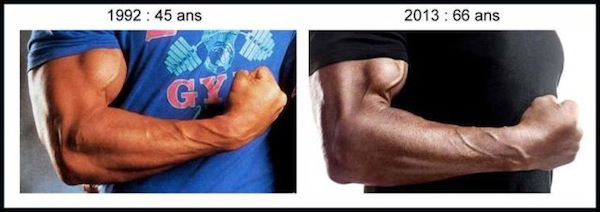 arnold-bod-muscles.jpg