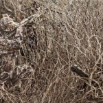 soldiers-camouflaging-is-amazing-1.jpg