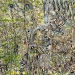 soldiers-camouflaging-is-amazing-10.jpg