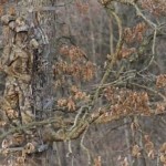 soldiers-camouflaging-is-amazing-3.jpg