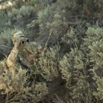 soldiers-camouflaging-is-amazing-5.jpg