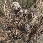 soldiers-camouflaging-is-amazing-6.jpg