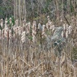 soldiers-camouflaging-is-amazing-9.jpg