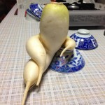 funny-vegetables-2.jpg