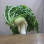 funny-vegetables-5.jpg