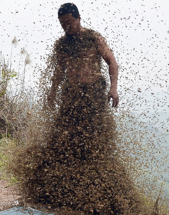 She-Ping-Bees-Swarm.jpg