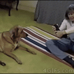 epic-fails-for-today-12.gif