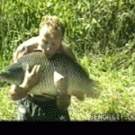 epic-fails-for-today-13.gif