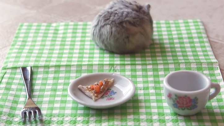 hamster-eating-pizza-1.png