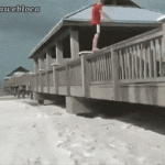 people-who-should-stay-away-from-the-beach-10.gif