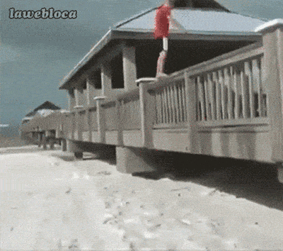 people-who-should-stay-away-from-the-beach-10.gif