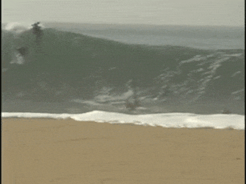 people-who-should-stay-away-from-the-beach-13.gif