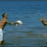 people-who-should-stay-away-from-the-beach-5.gif