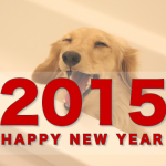 happy-new-year-2015.png