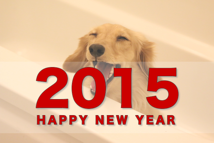 happy-new-year-2015.png