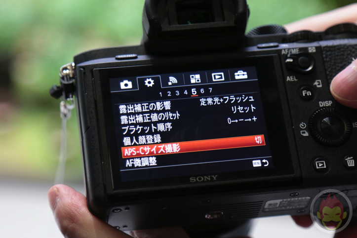 Sony-Alpha-2-15.jpg