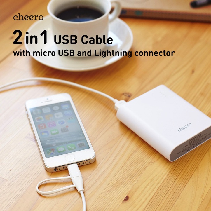 2-in-1-cable.jpg