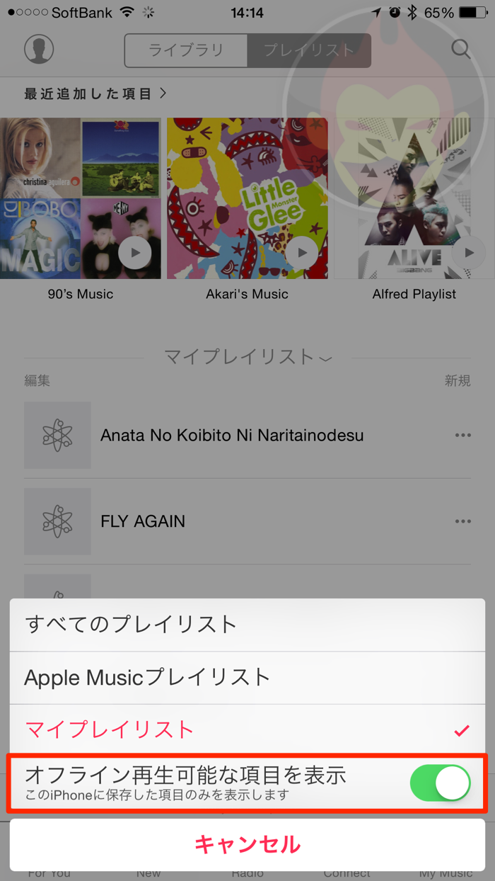 Apple-Music-Offiline-Music-03.png