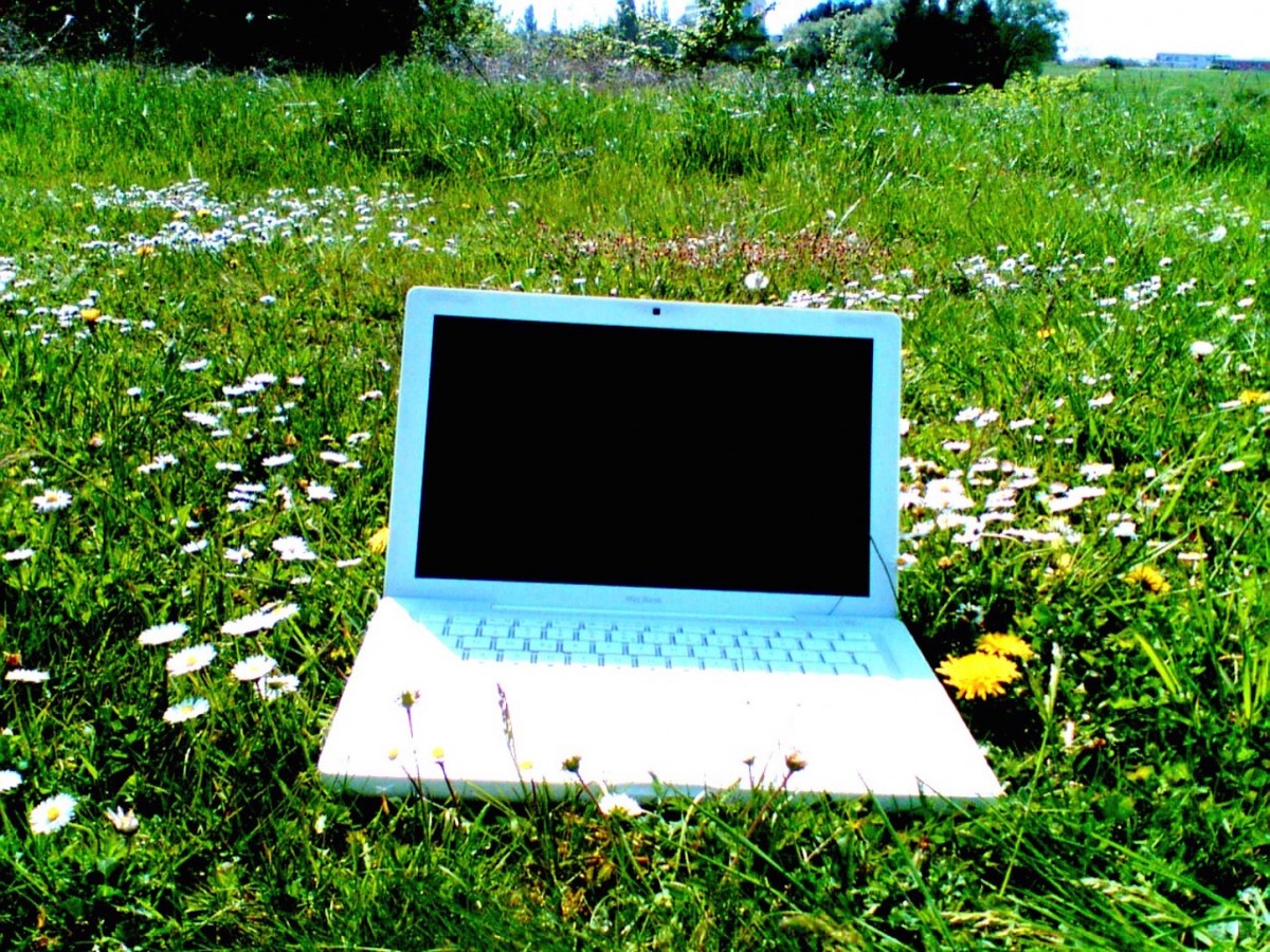 macbook-and-flowers.jpg