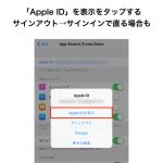 AppStore-From-English-to-Japanese-4