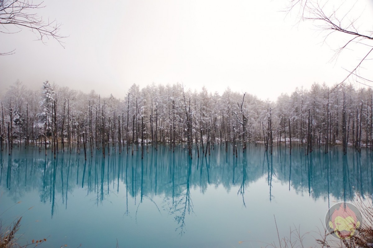 Blue-Pond-Hokkaido-04.jpg