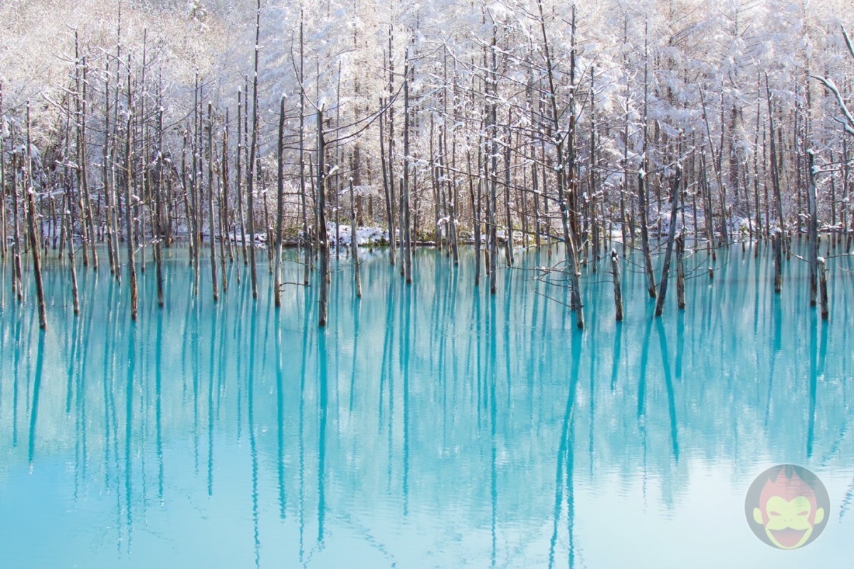 Blue-Pond-Hokkaido-08.jpg