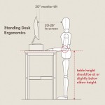 standing-desk-ergonomics-2.jpg