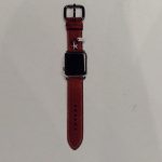 Apple-Watch-Coach-Model-2.jpeg