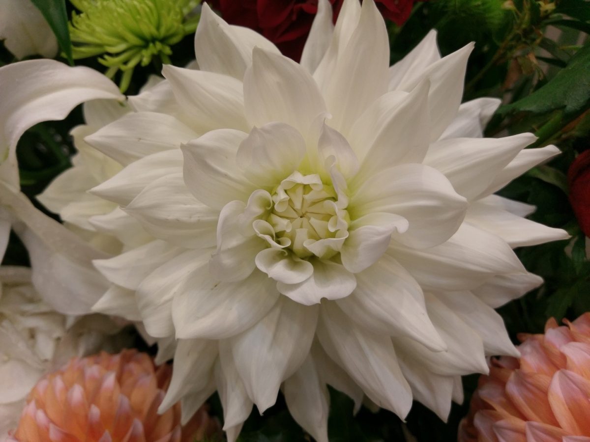 HTC-10-Photo-Sample-06