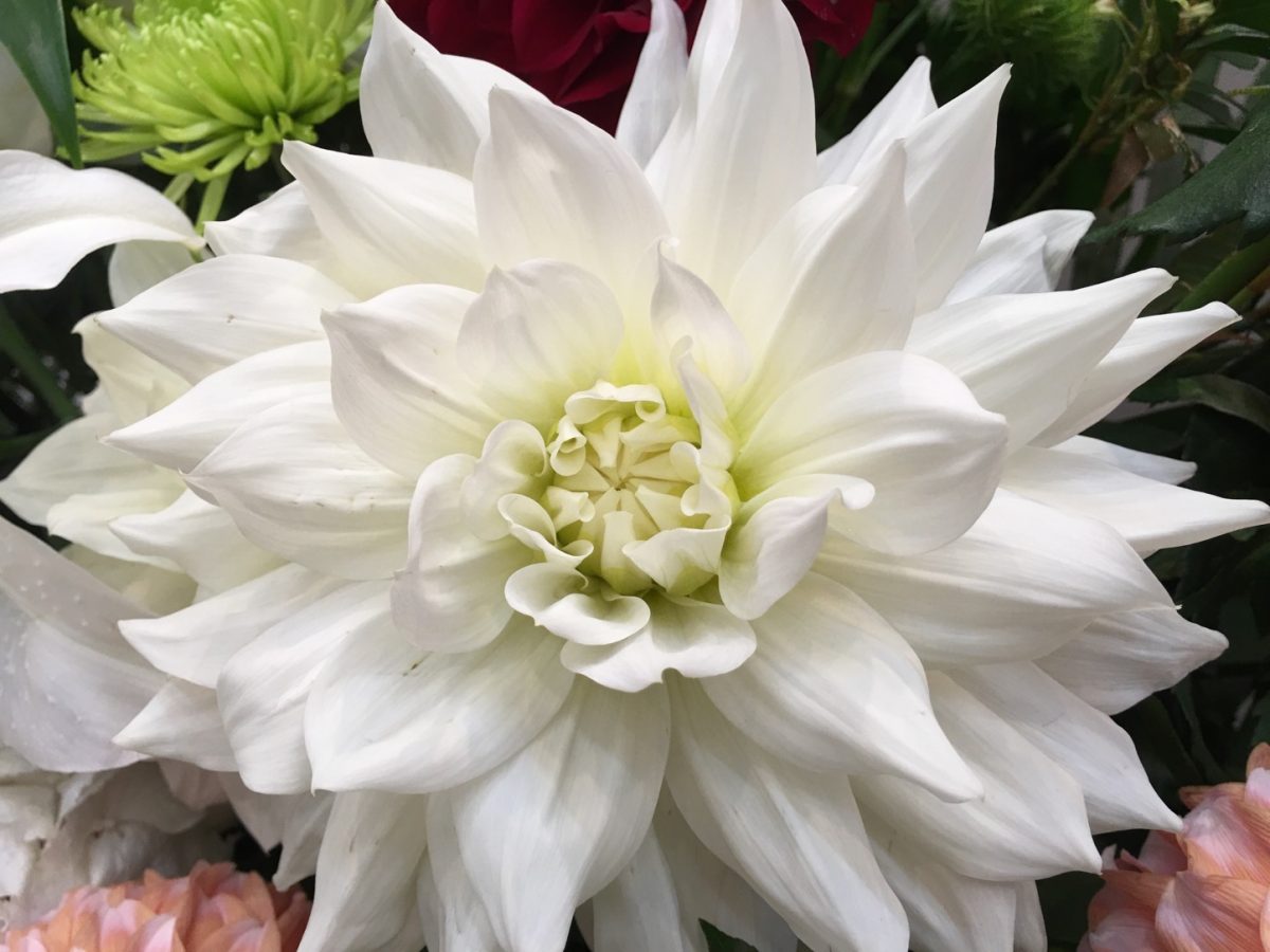 HTC-10-Photo-Sample-Comparison-iPhone6sPlus-06