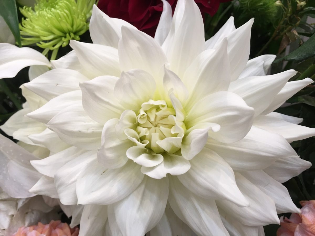 HTC-10-Photo-Sample-Comparison-iPhone6sPlus-07