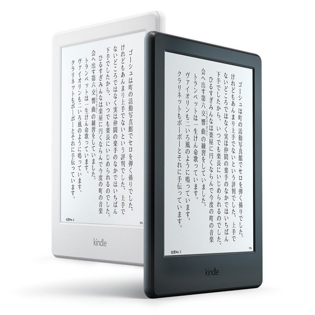 The-New-Kindle-2