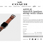 coach-leather-strap-charms.png
