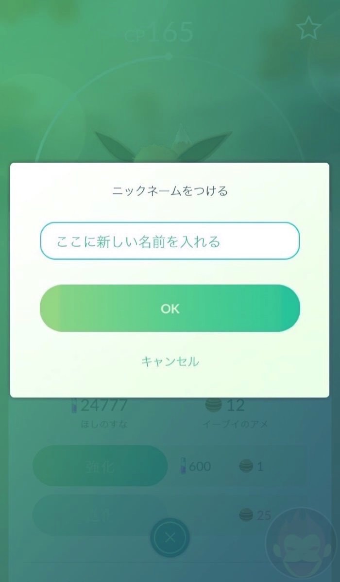 Changing-the-name-of-pokemon-01.jpg