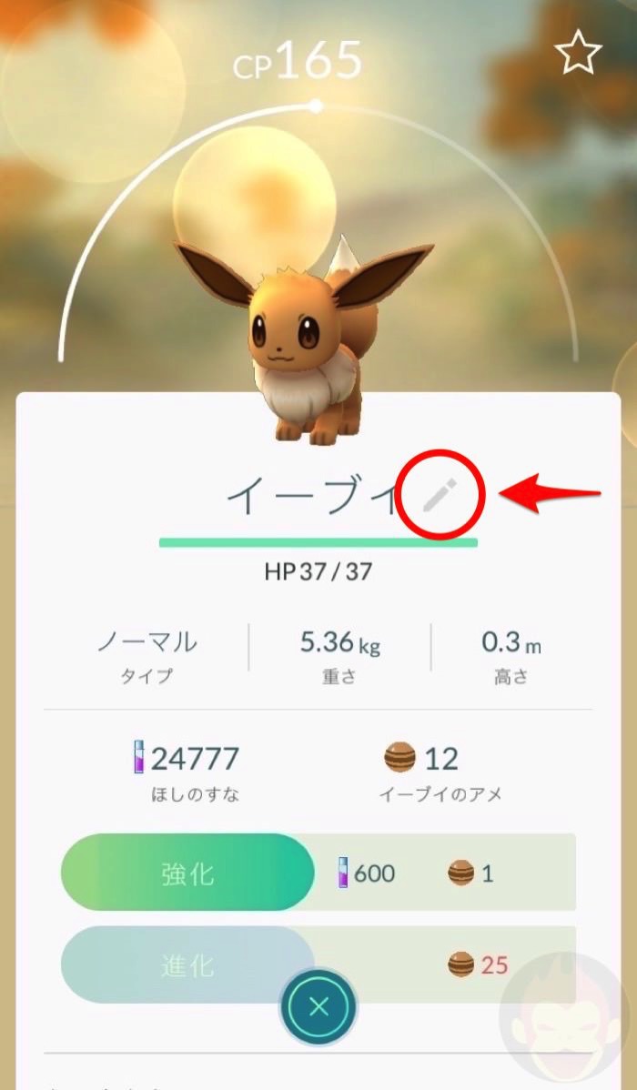Changing-the-name-of-pokemon-02.jpg