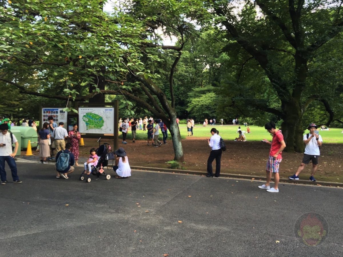 So-Many-People-At-Shinjuku-Gyoen-05.jpg