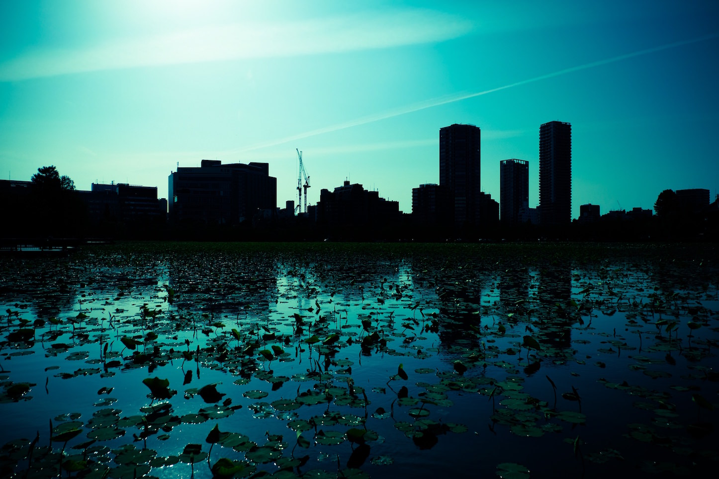 lake-and-the-city.jpg