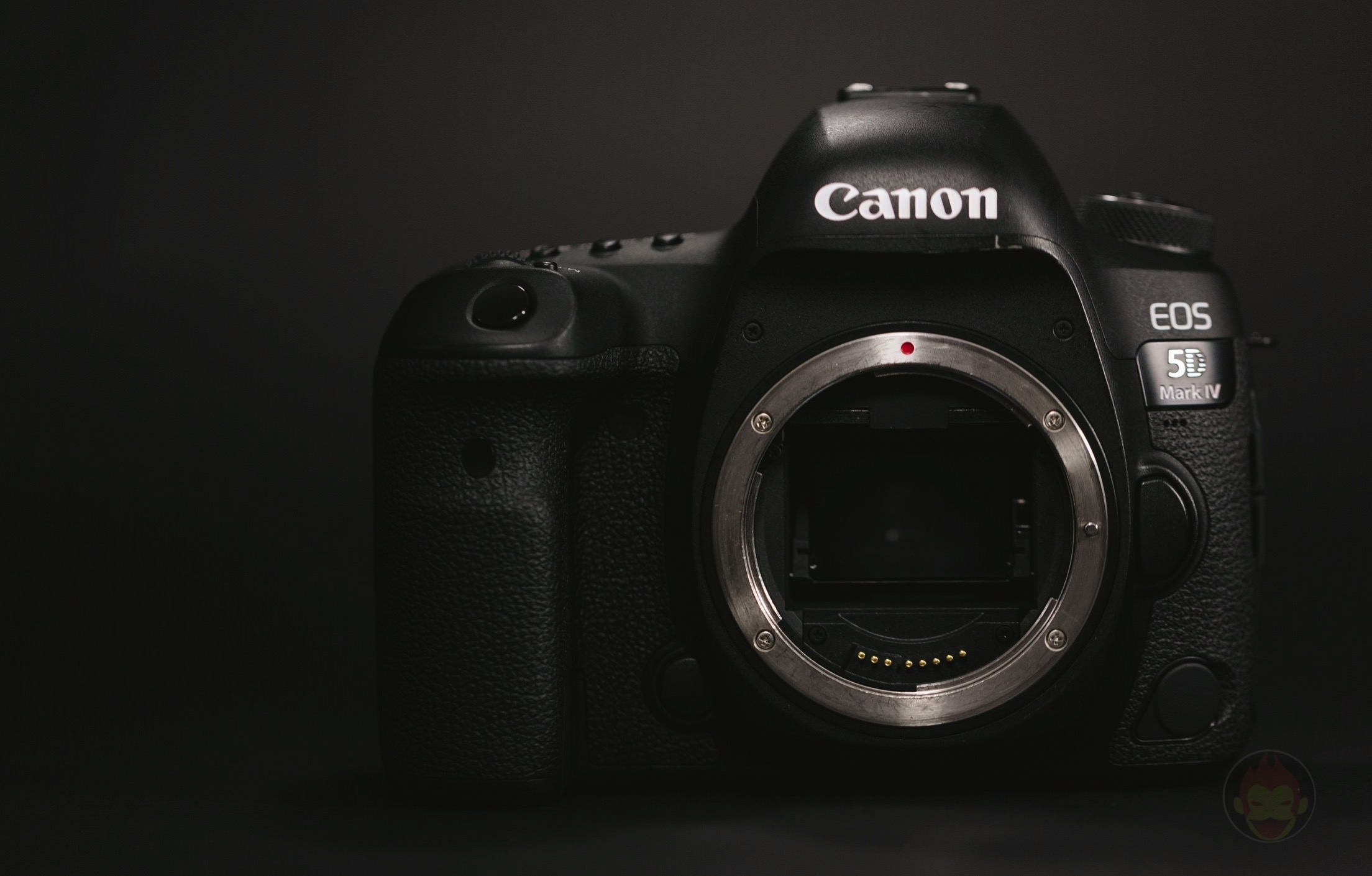 Canon-EOS-5D-Mark-4-Camera-10.jpg