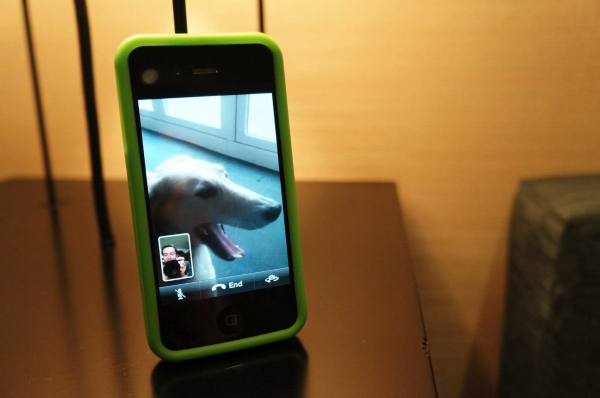 FaceTime-Call-With-Dog.jpg