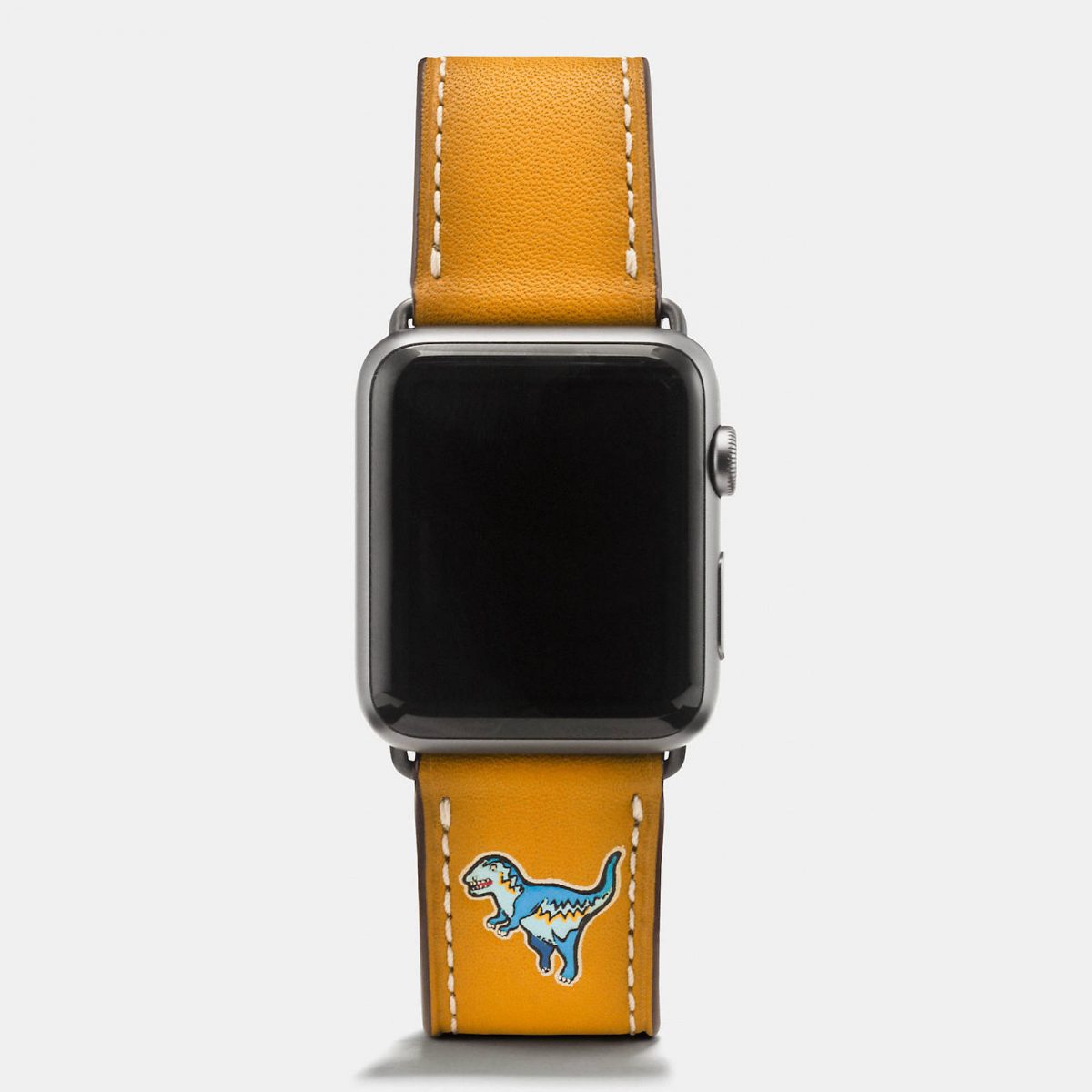 Apple-Watch-Coach-Band-Autumn-Season-3.jpeg