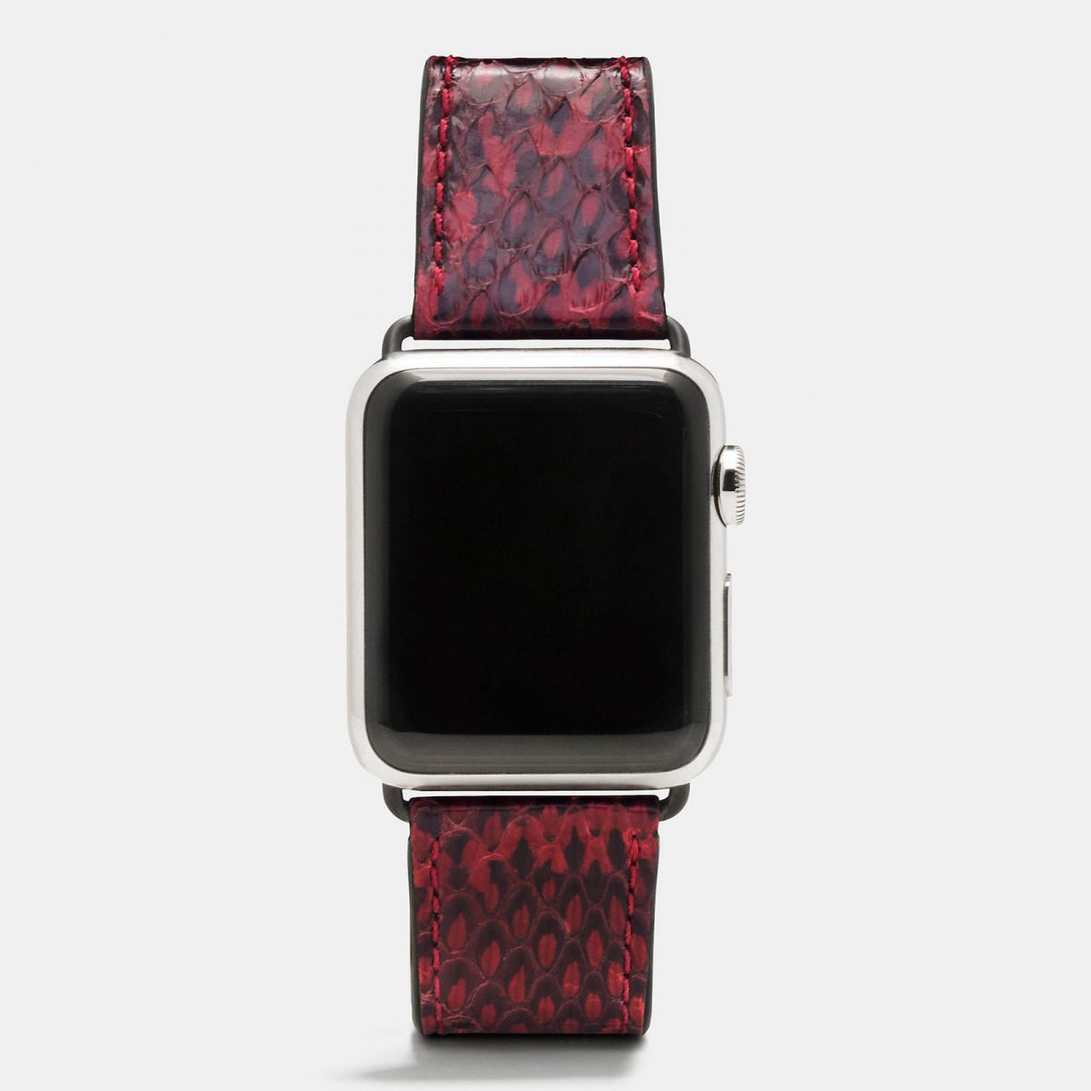 Apple-Watch-Coach-Band-Autumn-Season-4.jpeg