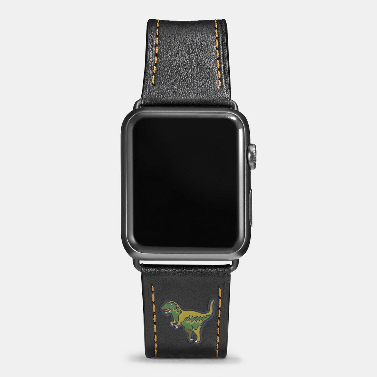 Apple-Watch-Coach-Band-Autumn-Season-8.jpeg