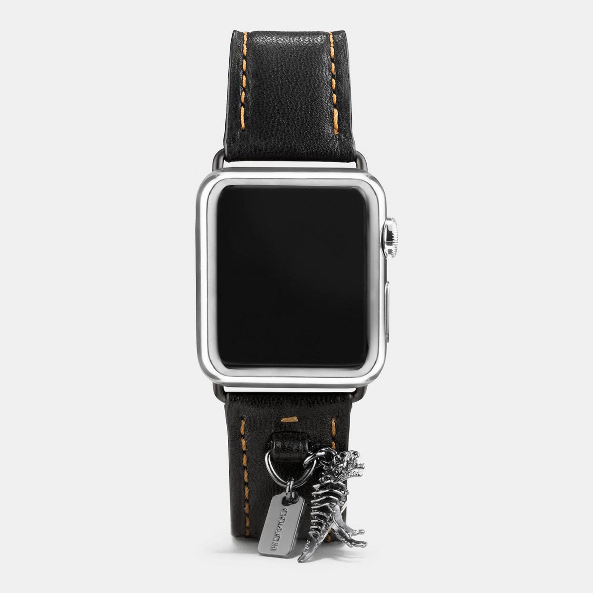 Apple-Watch-Coach-Band-Autumn-Season-9.jpeg