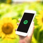 Spotify-and-Sunflowers.jpg